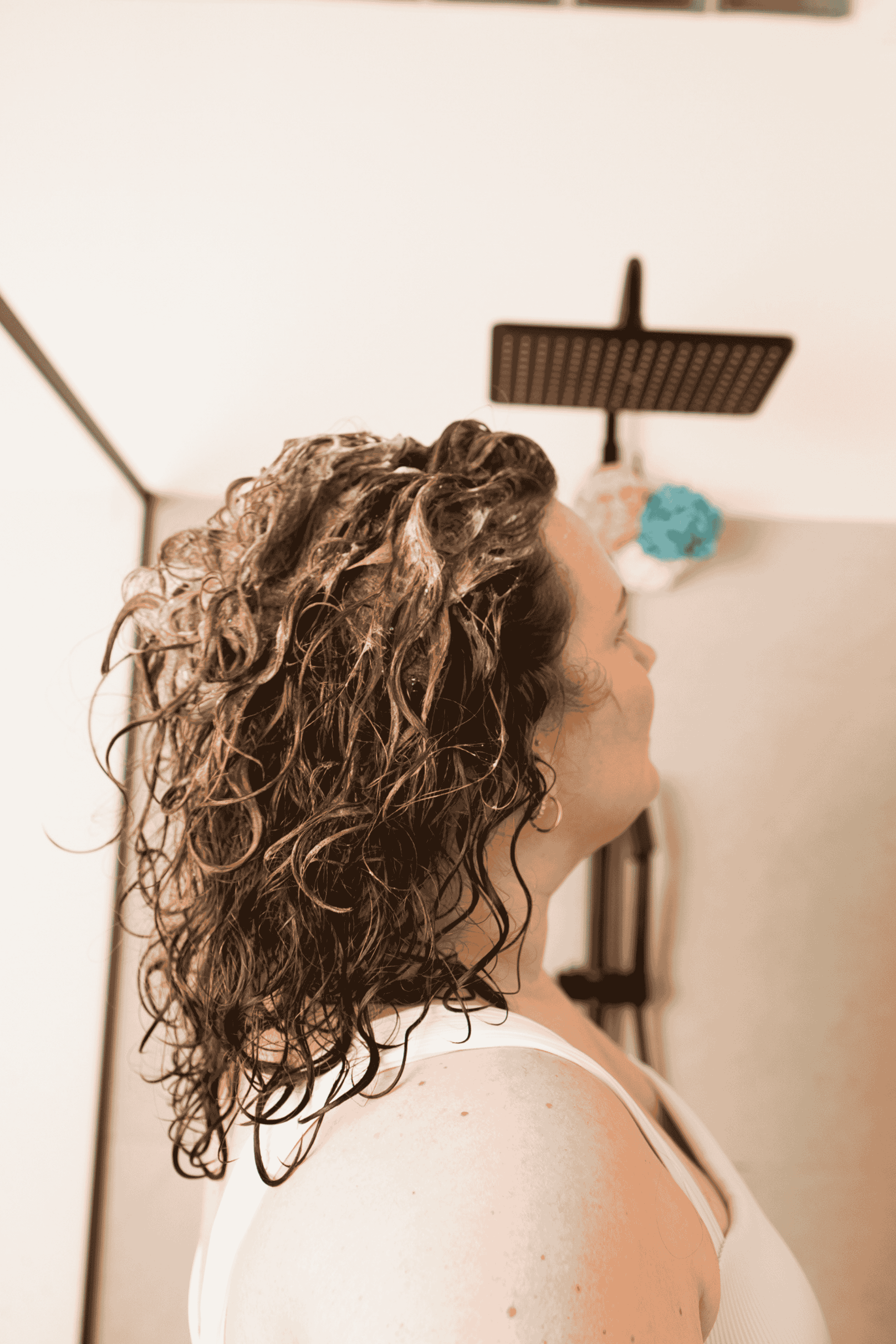 Curl Bites | Curl Discovery & Refresh Set